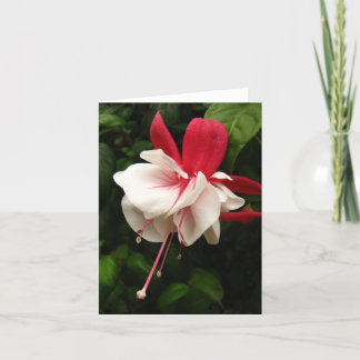 Tarjeta Flor Notecard de Fuschia