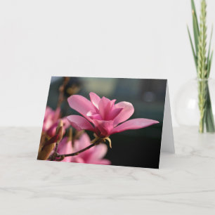 Tarjeta Flor Notecard de la magnolia
