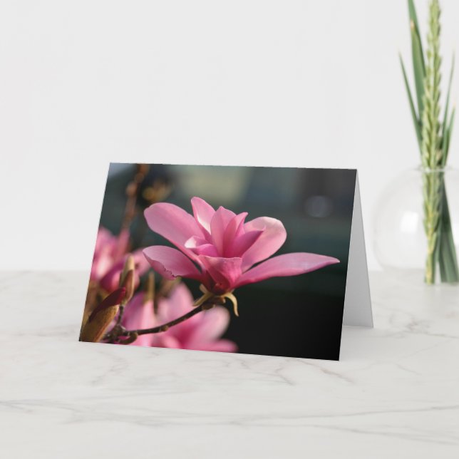 Tarjeta Flor Notecard de la magnolia (Anverso)