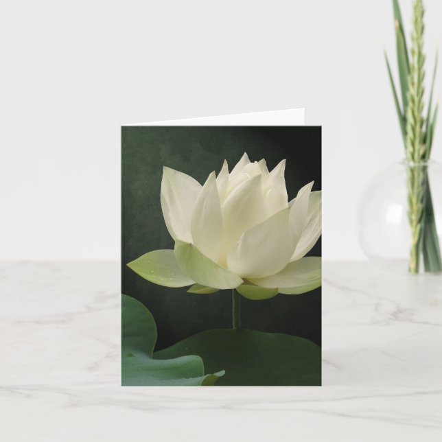 Tarjeta Flor Notecard floral de Lotus blanco (Anverso)