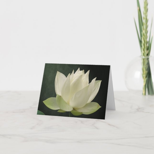 Tarjeta Flor Notecard floral de Lotus blanco (Anverso)