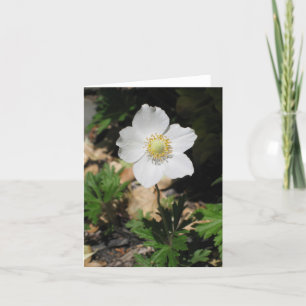 Tarjeta Flor Notecards