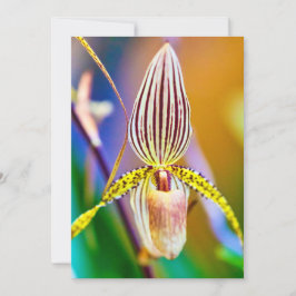 Tarjeta Flor orquídea