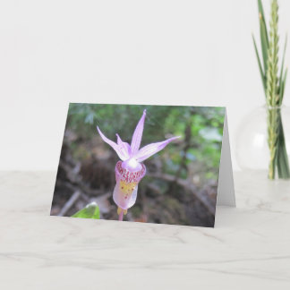 Tarjeta Flor Orquídea