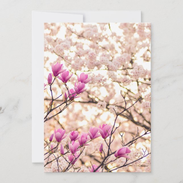 Tarjeta Flor Primaria de Magnolias Púrpuras y Florecientes (Anverso)