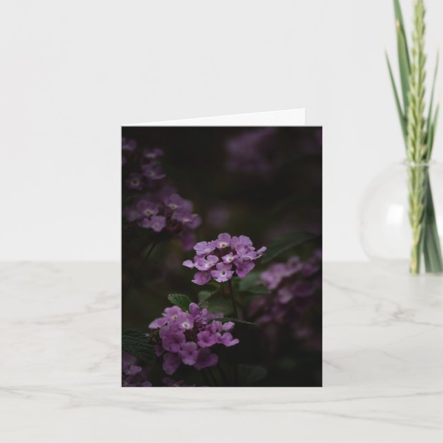 Tarjeta Flor púrpura, Simpatía (Anverso)