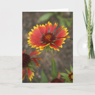Tarjeta Flor roja