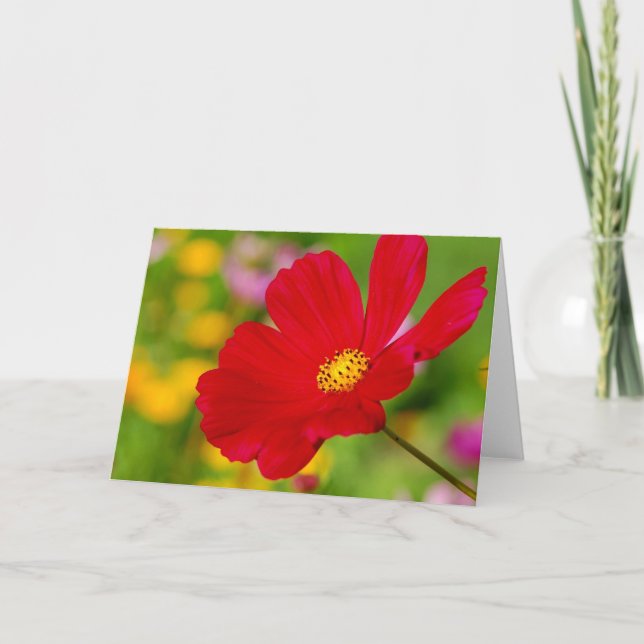 Tarjeta Flor roja (Anverso)
