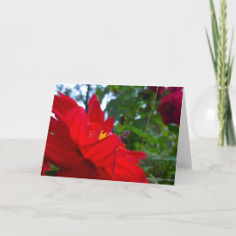Tarjeta Flor roja con centro amarillo