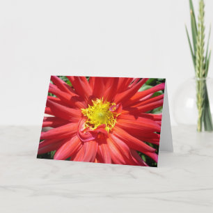 Tarjeta Flor roja y amarilla