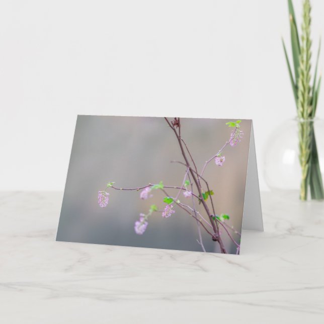 Tarjeta Flor rosa (Anverso)