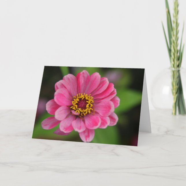 Tarjeta flor rosa (Anverso)