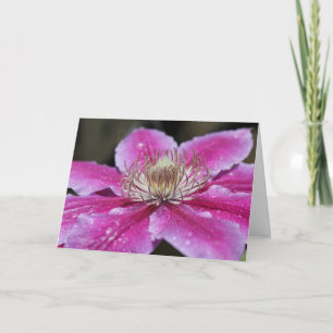 Tarjeta Flor rosa Clematis Notecard