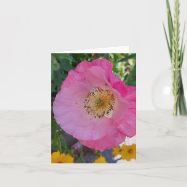 Tarjeta Flor rosa de amapola en verano (Anverso)