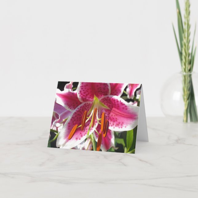 Tarjeta Flor rosa de lirio rosa rosa flor rosa (Anverso)