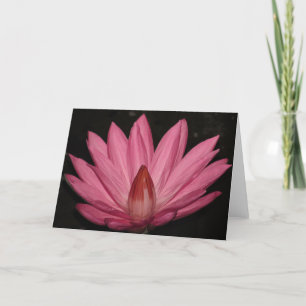 Tarjeta flor rosa de loto