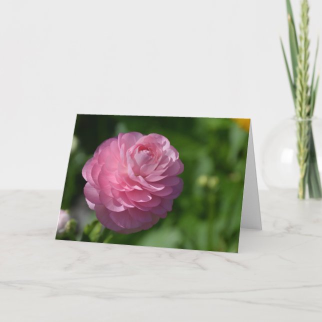 Tarjeta Flor rosa de ranunculus (Anverso)