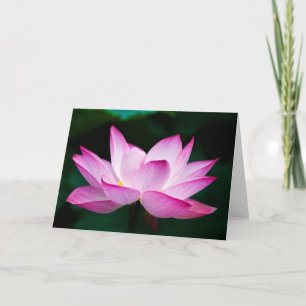 Tarjeta Flor rosa Lotus