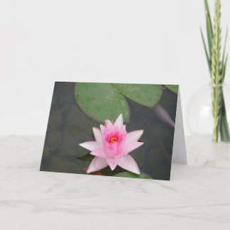 Tarjeta Flor rosa Lotus