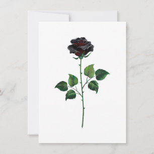 Tarjeta Flor rosa negra