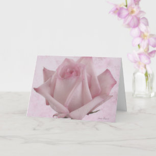 Tarjeta Flor rosa suave