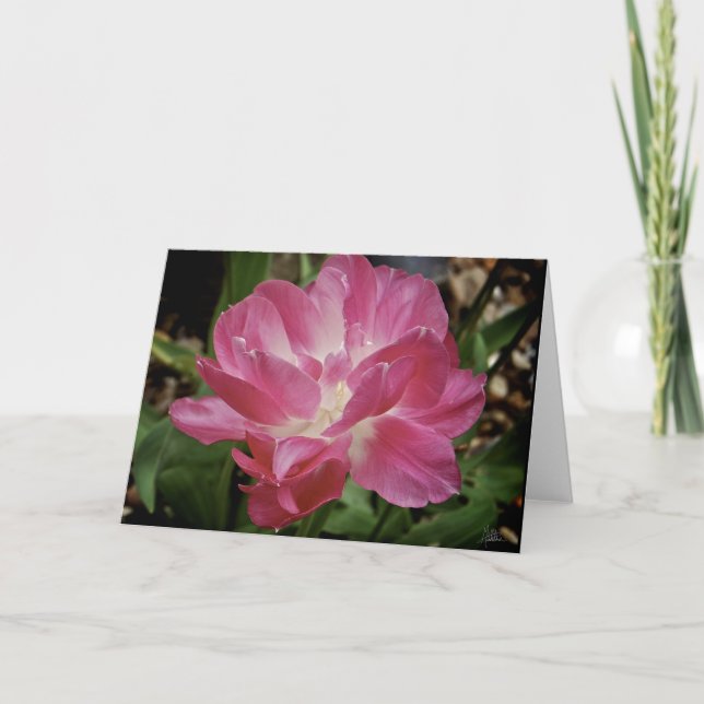 Tarjeta Flor rosa [tarjeta de felicitación] (Anverso)