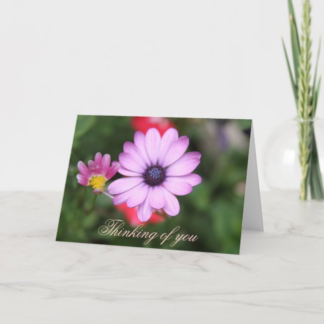 Tarjeta Flor rosa tipo margarita (Anverso)