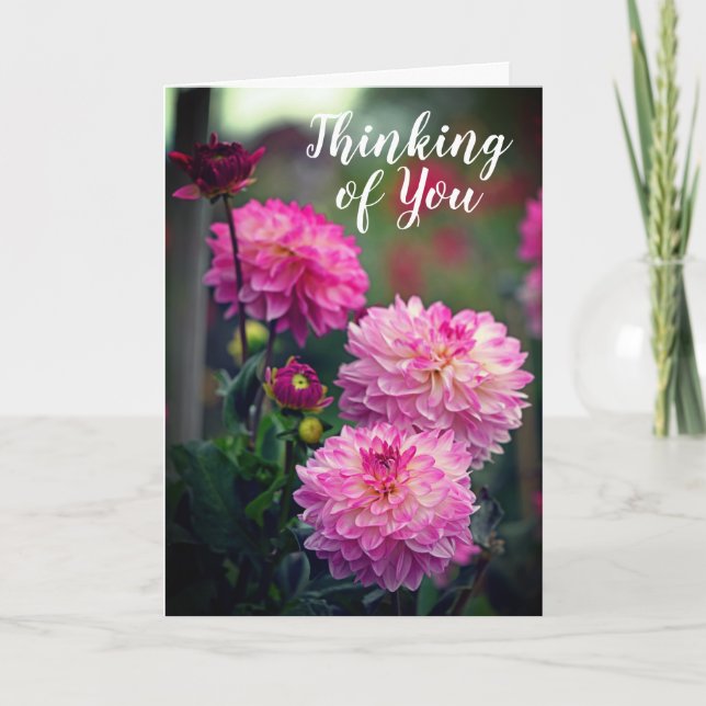 Tarjeta Flor rosa y blanca de Dahlia pensando en ti (Anverso)