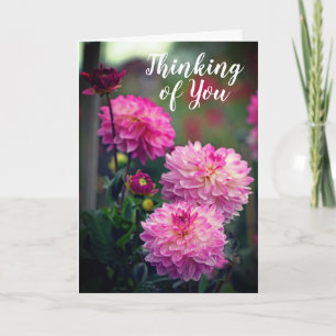 Tarjeta Flor rosa y blanca de Dahlia pensando en ti