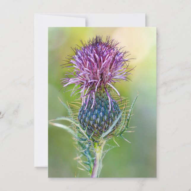 Tarjeta Flor silvestre (Anverso)