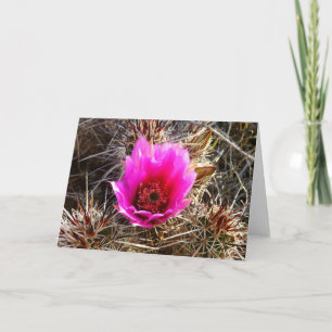 Tarjeta Flor silvestre de Cactus floreciente
