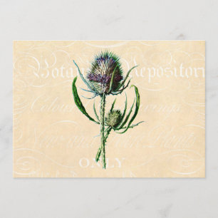 Tarjeta Flor silvestre de época escocesa de 1902