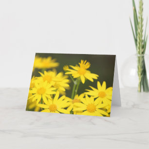 Tarjeta Flor silvestre de Texas: Ragwort dorado de primave
