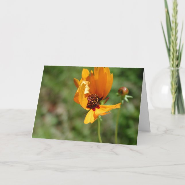 Tarjeta flor silvestre naranja (Anverso)