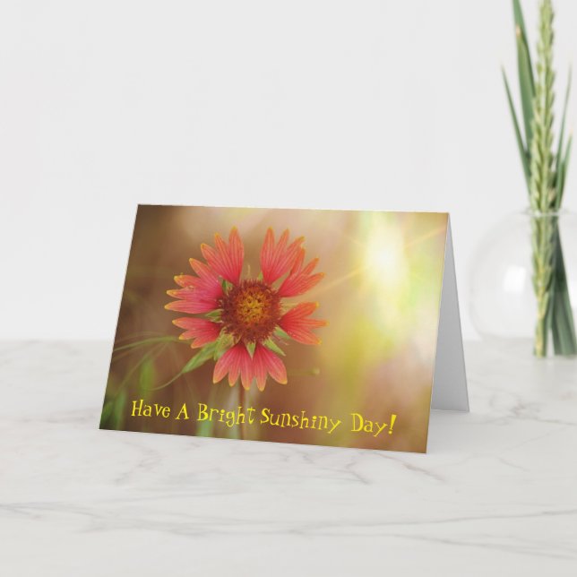 Tarjeta Flor silvestre Sunshine pensando en tu carta (Anverso)