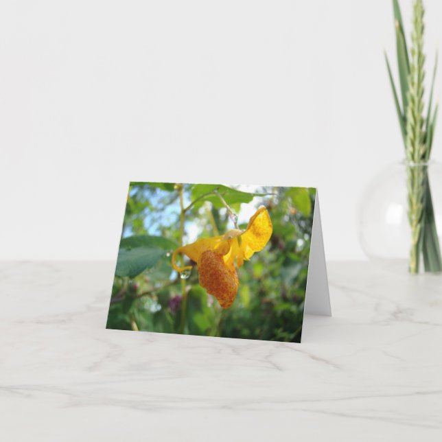 Tarjeta Flor silvestre Touch-Me-Not Naranja (Anverso)
