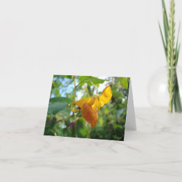 Tarjeta Flor silvestre Touch-Me-Not Naranja