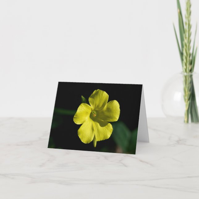 Tarjeta Flor Sunshine (Anverso)