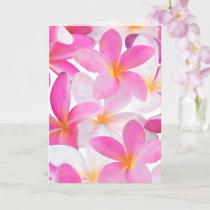 Tarjeta Flor tropical de Plumeria rosa de Hawái Floral