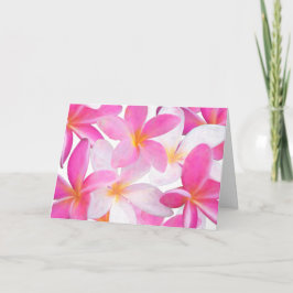 Tarjeta Flor tropical de Plumeria rosa en Hawaii en blanco