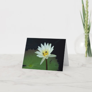 Tarjeta Flor-y-Abejas