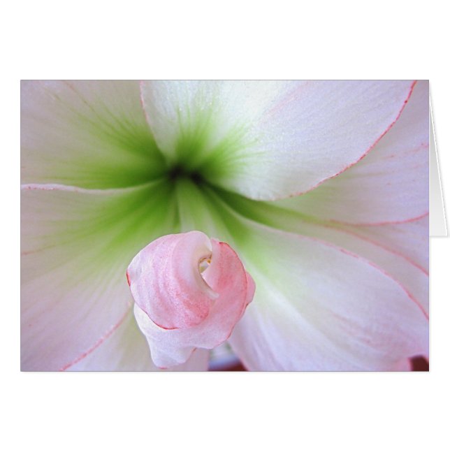 Tarjeta Flora Tenera (Anverso (Horizontal))