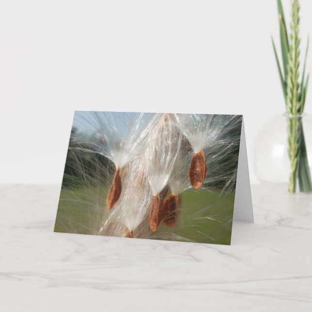 Tarjeta Flora y fauna de la época flotando.jpg (Anverso)