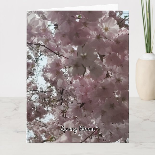 Tarjeta Floración de primavera (Anverso)