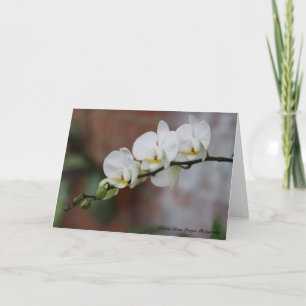 Tarjeta Floraciones de la orquídea
