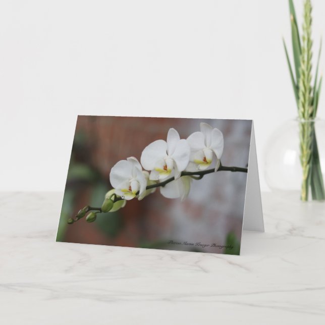 Tarjeta Floraciones de la orquídea (Anverso)