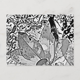 Tarjeta floral abstracta en blanco y negro para co