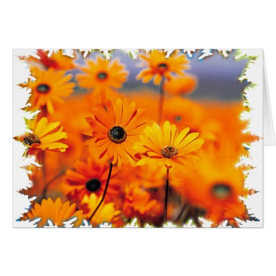 Tarjeta floral anaranjada