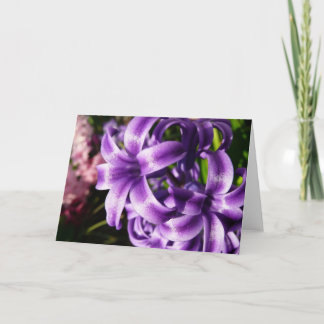 Tarjeta Floral azul de Hyacinto I primavera