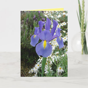 Tarjeta floral azul holandesa Iris